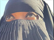 Fotograf�a de Stephanie N Thornton